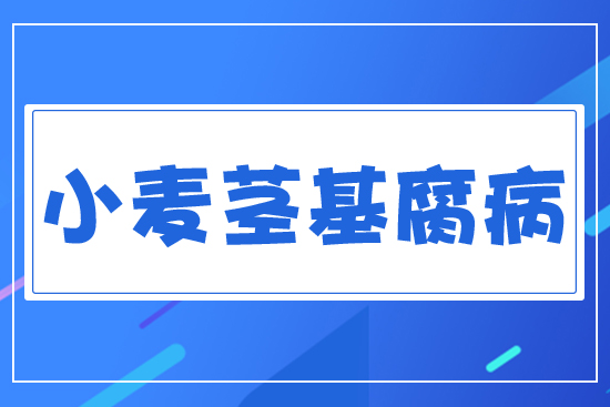 С���o������