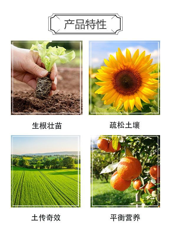 河南中科農業(yè)科技研究院-精品根秀才_03