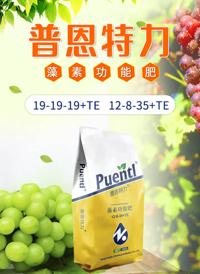 �ն�����-�����طN�ʘI(y��)_01