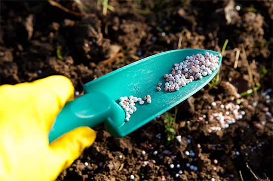 重磅!第七屆成都種業(yè)博覽會定檔11月18日