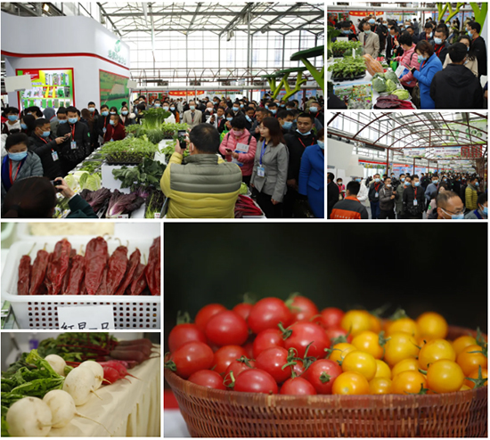 重磅!第七屆成都種業(yè)博覽會定檔11月18日