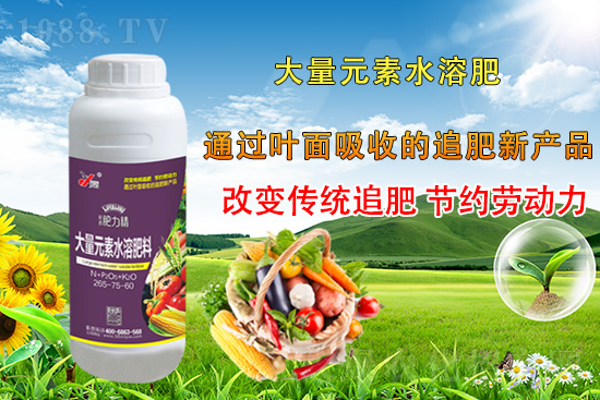 �����仨����������Ͳ��ü������l(f��)�������ٻ����������E���@��