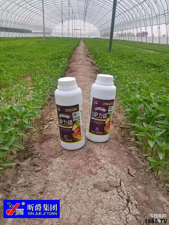 �����仨����������Ͳ��ü������l(f��)���ܣ��ٻ����������E���@��