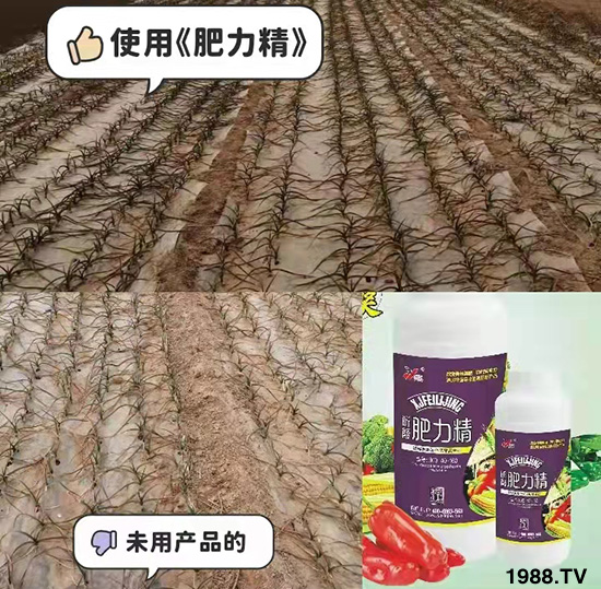 �����仨����������Ͳ��ü������l(f��)�������ٻ����������E���@��