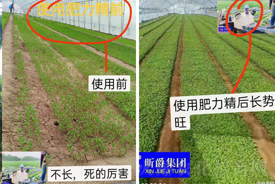 �����仨����������Ͳ��ü������l(f��)�������ٻ����������E���@��