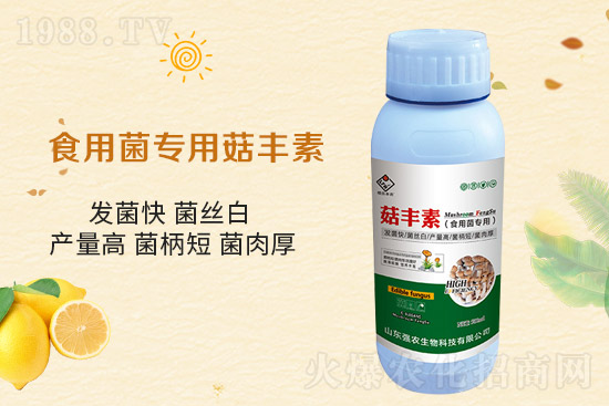 ƽ������Ҫ�c����Ҫע����Щ�����