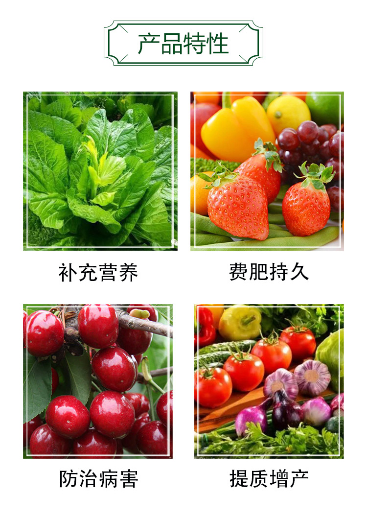 ���ћ_ʩ��-�r��ڈ@_03