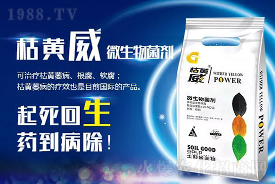 ���Sή�����ݵȲ������Ӝ皢�������͉�����