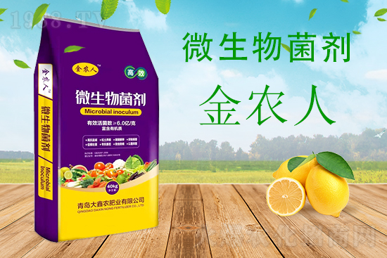 С���ƌW(xu��)����������������ԓ��ô����