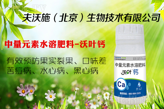 �����ѹ���ô�k���a�}���P�I! �@�������p�ɽ�Q��