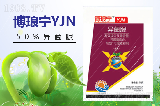 2022.4.16�����\�������r��