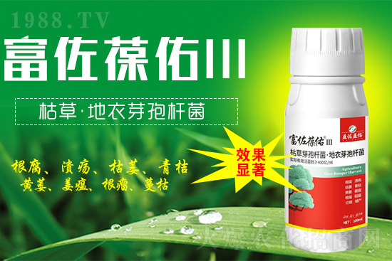 2022��4��19�ո����\�rˎ�r��