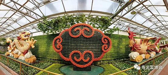 �ڶ�ʮ���É۹�˲���(hu��)5