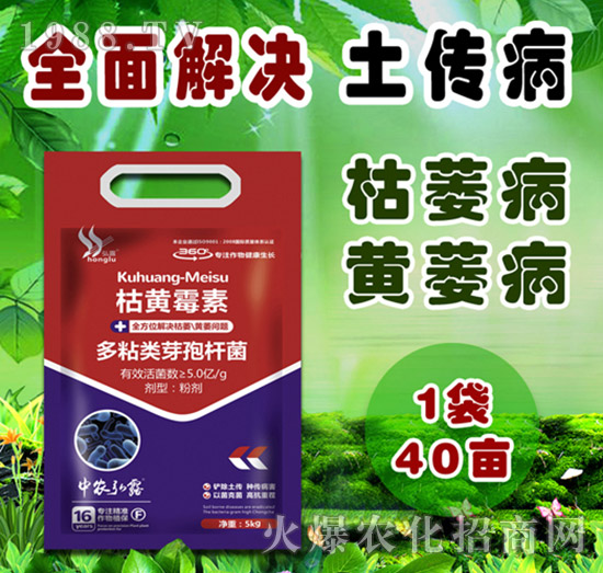     ��(x��)���Բ�������Щ������ˎ����ô�x��һƪ�����f����