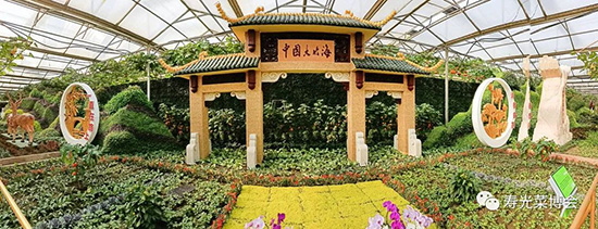 �ڶ�ʮ���É۹�˲���(hu��)3