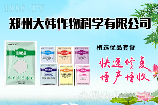 ����ˎ���ʺ��l�l(f��)��ô�k���l(f��)��ˎ���ʺ�����a(b��)����