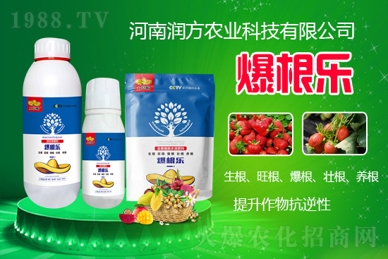     ���ϝ����r(n��ng)�I(y��)�Ƽ����޹�˾��΢�������-������-����ñ���Ɏ���ֲ�ｨ�����я���ĸ�ϵ�����Mֲ������B(y��ng)����ˮ���c���w�������������������������������Ѹ����B(y��ng)����������������