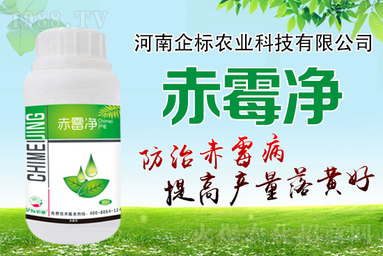 �o�����ѣ�δ��ʮ����С����ù�������P(gu��n)�I�ڣ���(w��)��ץ����