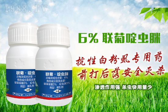 ���԰׷�ʭ�y�����y�����@����ˎ�x���p�������x��