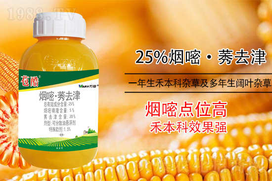 ���׳������e���@�׷N���݄���