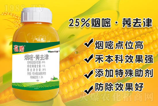 ���׳������e���@�׷N���݄���