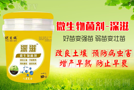 ������α��l(f��)ʽ�������������B(y��ng)���������(l��i)����