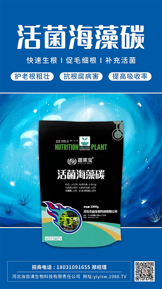 �@���Ǹ��õ�����䷽������������������ɫ������