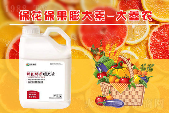 �ļ���������ٲ�������α��������