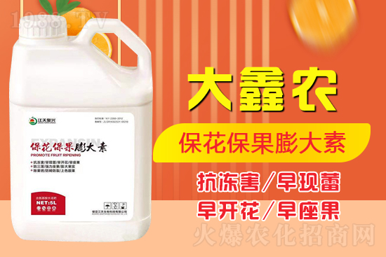 �ļ���������ٲ�������α��������