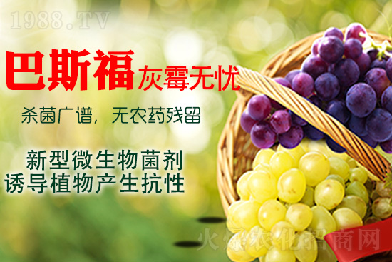 ���ѻ�ù��ԓ��ν�Q����ù����ˎ���h��