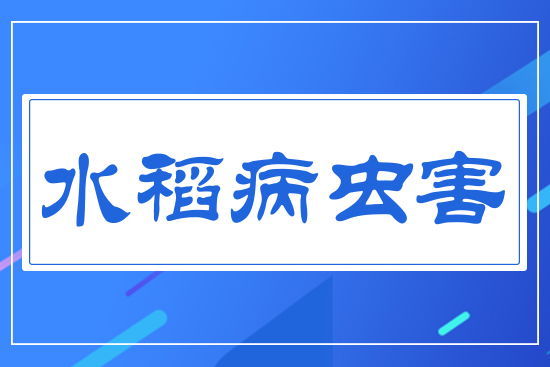 ˮ�����x(ch��ng)��