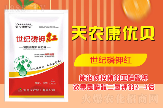 ���������ʲô���������˽����