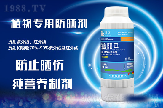 �ߜ������u������������E�[���쿴�������ˆ�? 