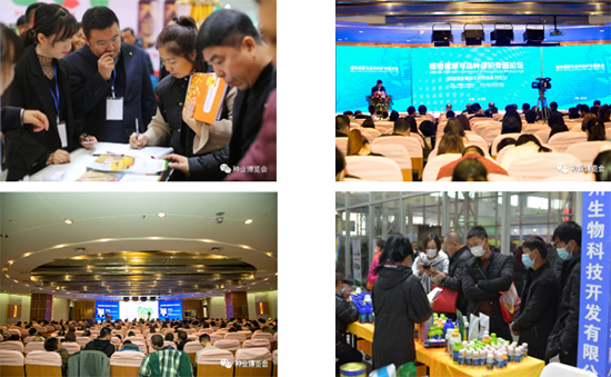 �����I�N�I(y��)���[��(hu��)2