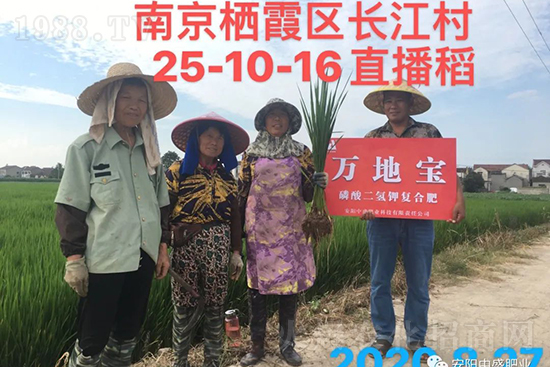 ˮ�����Y���Ì��a(ch��n)���ж��Ӱ푣����M(j��n)ˮ�����Y��ô����