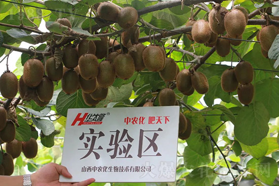 �J����������c(di��n)����Щ���J����������ôʩ