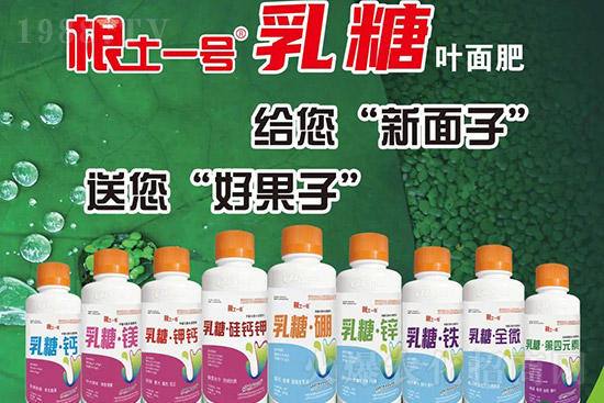 �J����������c(di��n)����Щ���J����������ôʩ