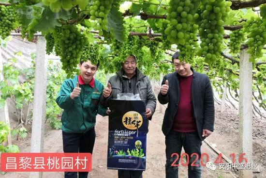 ����ܛ����ʲôԭ������η�����