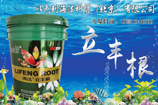 ���������Ч����ô�����Ȃ��y(t��ng)���Ϻ�����