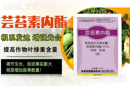 �|̦�؃�(n��i)����ɶ���Q��ֲ�����ˎ���|̦�؃�(n��i)����ô�x��