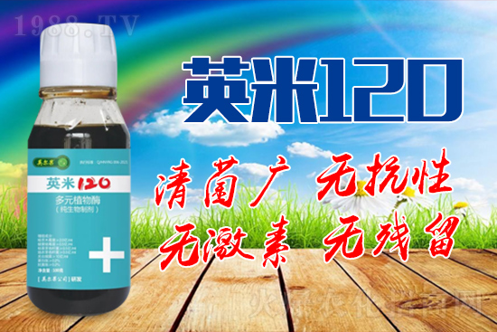 ��轰׷۲��İY����ʲô����轰׷۲����η�����