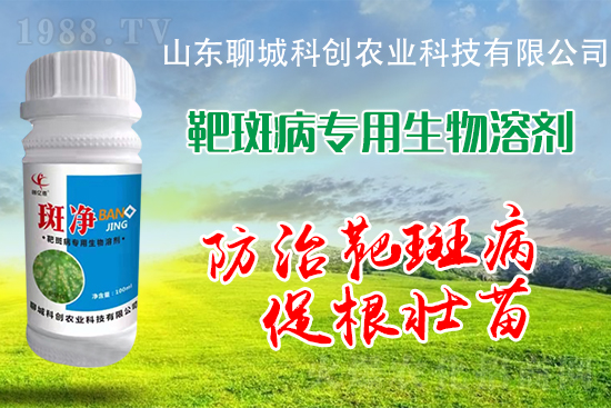 �S�ϰа߲�Σ��������������δ�ʩ����Щ��