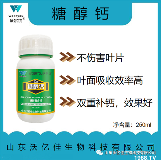 ɽ�|�փ|������Ƽ����޹�˾30