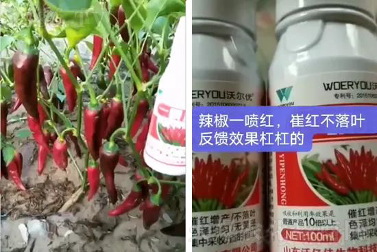 ���t�����95%���߼t�����~�����뷭�׷�����������һ���t��