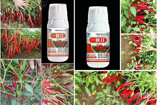 ���t�����95%���߼t�����~�����뷭�׷�����������һ���t��