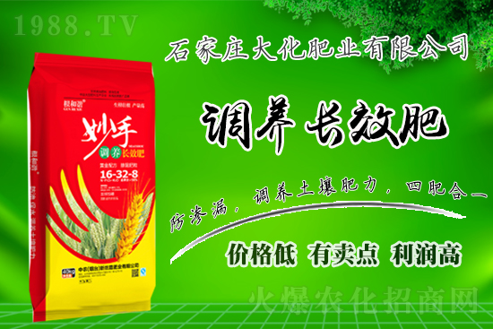 ��(zh��n)�Ժ���������(j��)��ʯ���f�󻯷ʘI(y��)�ٴκ��s1988.TV��