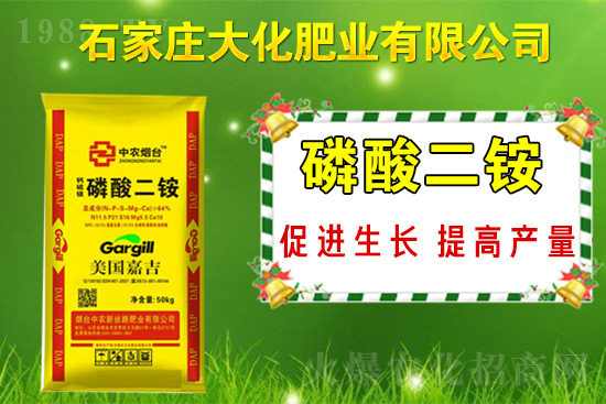 ��(zh��n)�Ժ���������(j��)��ʯ���f�󻯷ʘI(y��)�ٴκ��s1988.TV��