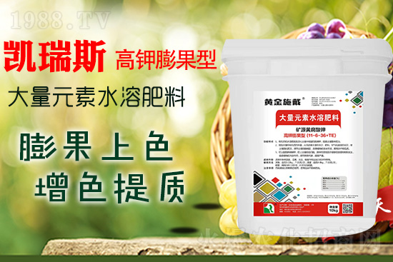     ���M(j��n)���������ɫ���@��(g��)�䷽��(zh��n)�](m��i)�e(cu��)���������|(zh��)���a(ch��n)��