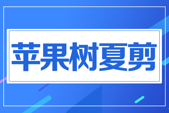 �O�����ļ�