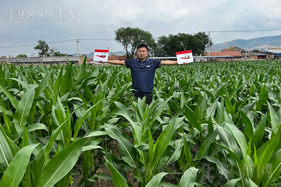 ��Դ������������I(y��ng)�B(y��ng)�a(b��)��ȫ����